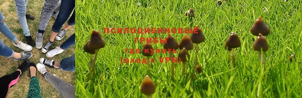 герыч Аркадак