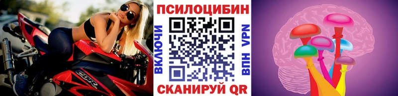 купить   hydra маркетплейс  Псилоцибиновые грибы прущие грибы  Озёры 